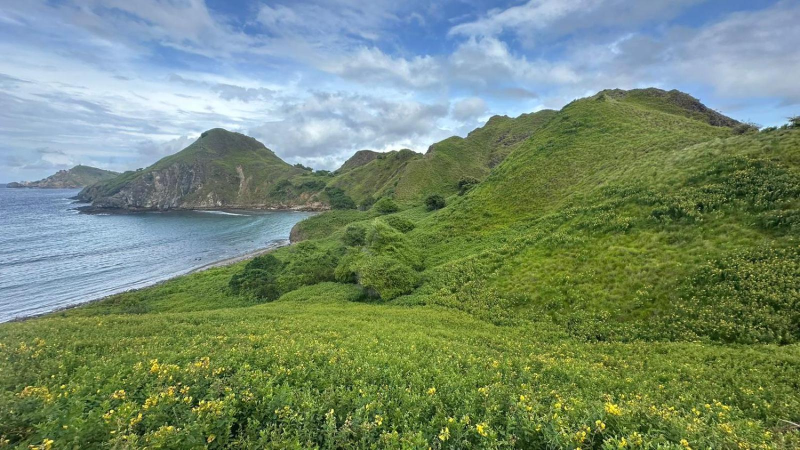 D'Flora Homestay 라부안 바조 외부 사진